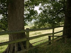 View from Muswell Hill, near Brill, Bucks Wallpaper