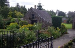 Village buildings