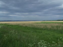 The marshes at Faxfleet Wallpaper