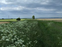 Looking east along the Humber estuary Wallpaper