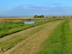 The marshes at Faxfleet Wallpaper