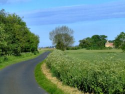 Winding lane, Faxfleet Wallpaper