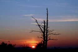 Sunrise over Hatchett Moor