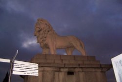 Lion Sentry Near Festival Pier Wallpaper