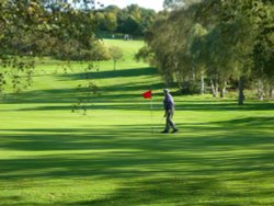 The 17th green at Worksop Golf Club Wallpaper