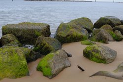 Rocks near Sea Palling Wallpaper