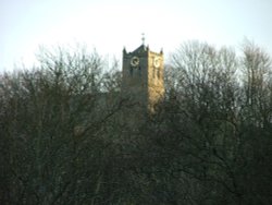 A view of Allendale Wallpaper