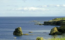 Coast line and calm sea at Whitburn. Wallpaper