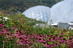 The Eden Project Wallpaper