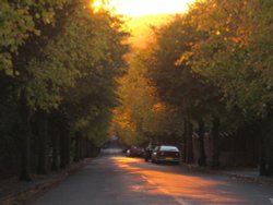 Summer sunset over Purley Wallpaper