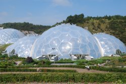 The Eden Project