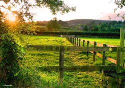 Shillingstone in Dorset Wallpaper