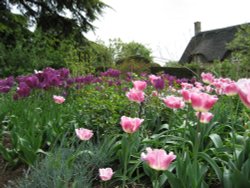 Hidcote Manor in spring Wallpaper