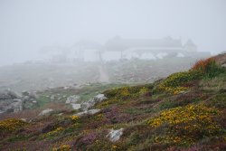 The mist sets in at Lands End Wallpaper