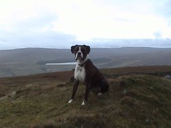 Burnhope Reservoir Wallpaper