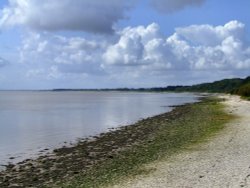 The foreshore with North Ferriby in the distance. Wallpaper