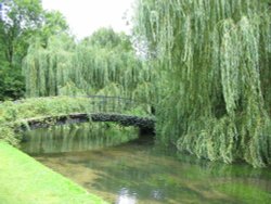 Bridge over River Test