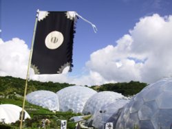 Eden Project Wallpaper