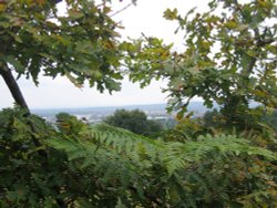 A walk in Shotover Country Park, Oxford Wallpaper