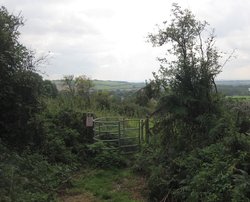 A walk through Shotover Country Park, Oxford Wallpaper