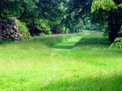 Blickling Hall Gardens Wallpaper