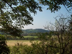 Cissbury Wallpaper