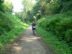 Lone cyclist