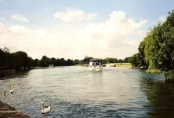 The Thames at Windsor Wallpaper