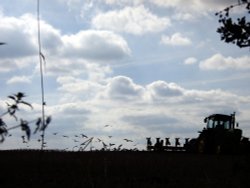 Ploughing in Manners Field