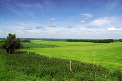 Wantage, Oxfordshire Landscape Wallpaper