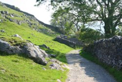 Ingleton Falls