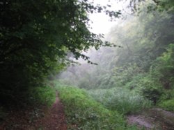 Toll path, Basingstoke Canal Wallpaper