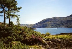 Landscape at Kyle of Lochalsh Wallpaper