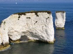 Old Harry Rocks Wallpaper