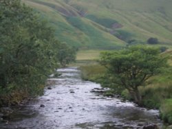 Cautley Holme Beck Wallpaper