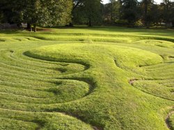 Turf labyrinth at Saffron Walden Wallpaper