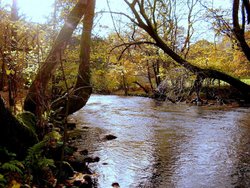 River Rothay Wallpaper