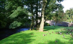 Dunsop Bridge Wallpaper