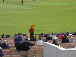 'Lanky', the team mascot