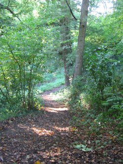 Leading to the Canal