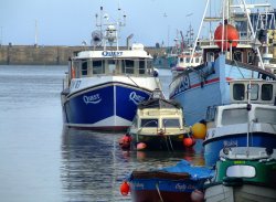 Boats in the harbour, Bridlington Wallpaper