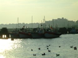 Late afternoon sun in the harbour Wallpaper