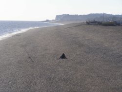 Lone fisherman on Deal beach. Wallpaper