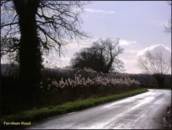 Looking South from Fernham Wallpaper