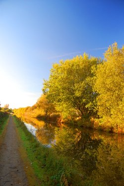 Autumn Canal path