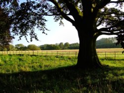 Hotham Hall grounds Wallpaper