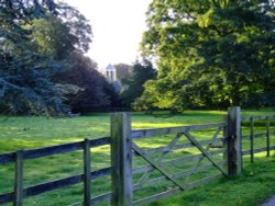 Hotham Hall Belltower through the trees