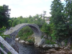 Carrbridge Wallpaper