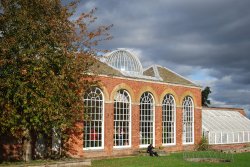 The Orangery Wallpaper