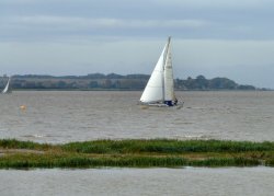 A yacht sailing on the Humber, Brough Haven